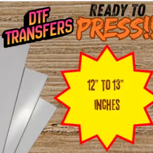 DTF Print 12" to 13" inch Custom Color Print